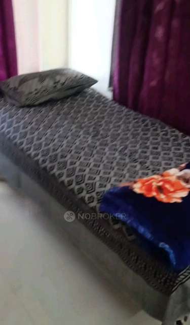 1 BHK Flat In Lakhmi Bala Ji for Rent In 4, Dy Patil College Rd