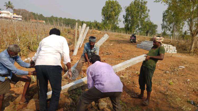 Plot For Sale  In Fortune Surya In Samathuvapuram