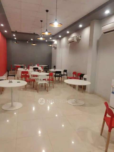 PG for Anyone in South City 1, Sector 41