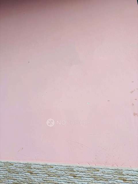 PG for Anyone in Sector 130