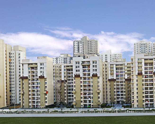 3 BHK Flat In The 3c Lotus Boulevard,  Sector 100 for Rent  In  Sector 100