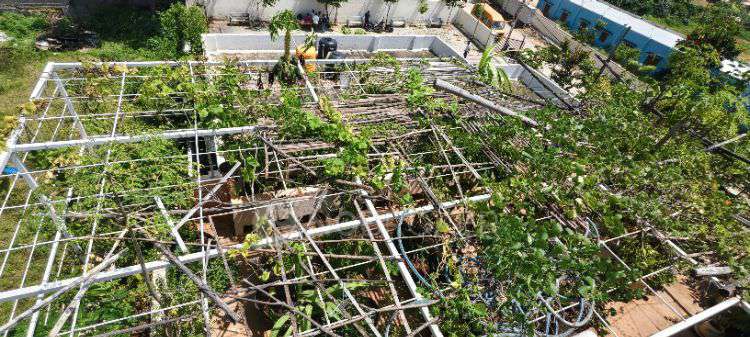 4+ BHK House For Sale  In 269, Knss Colony, Ramamurthy Nagar, Bengaluru, Karnataka 560016, India