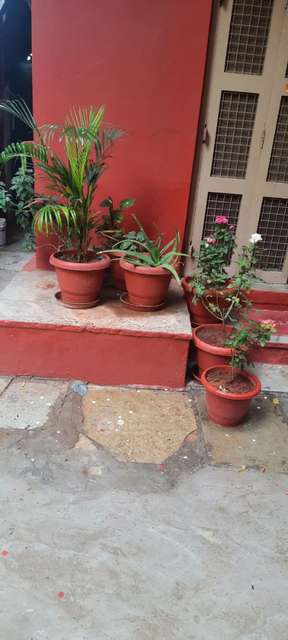 PG for Girls in Chikkadpally