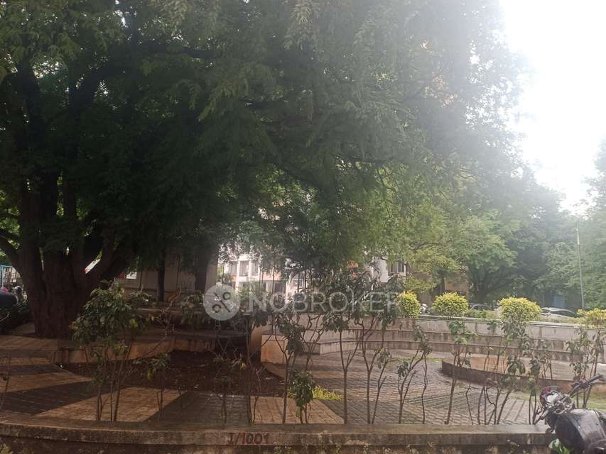 2 BHK Flat In Tamarind Park for Rent  In Dhayari