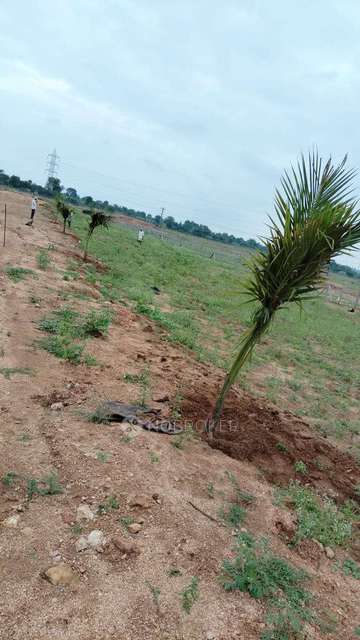 Plot For Sale  In Kukatpally