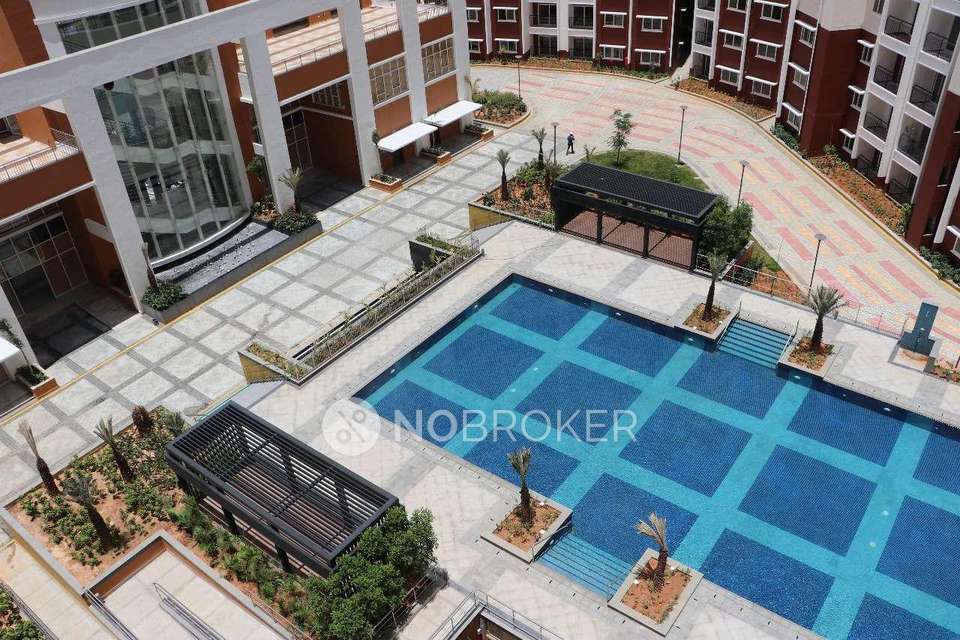 2 BHK Flat In Prestige Sunrise Park - Norwood For Sale  In Electronic City