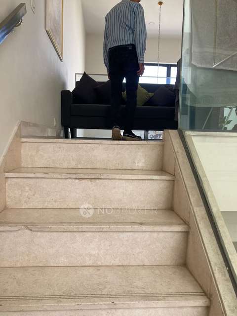 2 BHK Flat In Ireo The Grand Arch, Sector 58 for Rent  In Sector 58