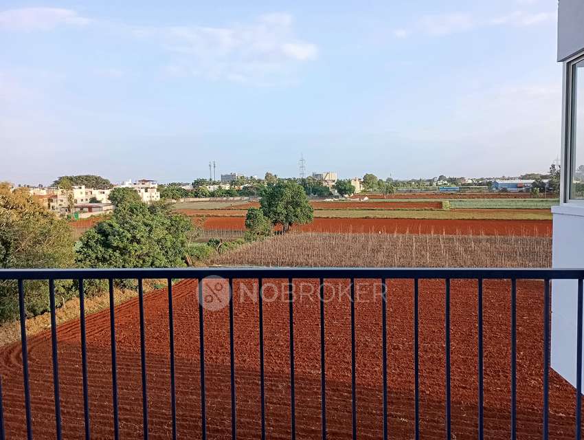 3 BHK Flat In Rrl Nature Woods For Sale  In  Sarjapur