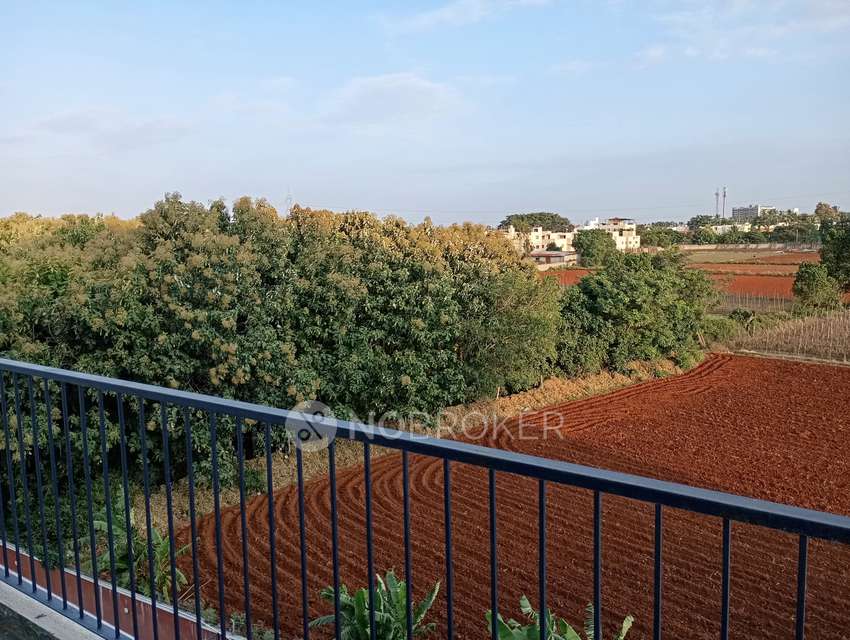 3 BHK Flat In Rrl Nature Woods For Sale  In  Sarjapur