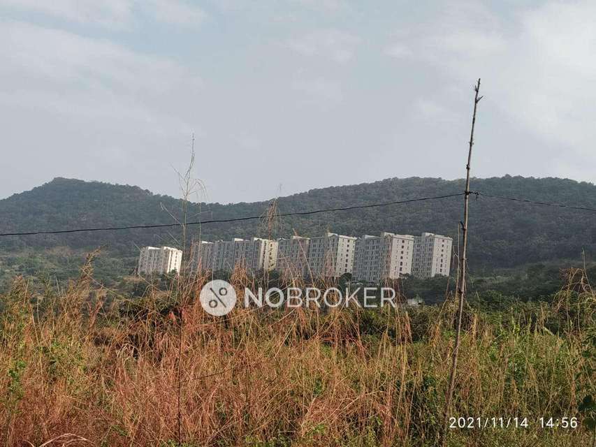 3 BHK Flat In Xrbia Hinjewadi For Sale  In Hinjewadi