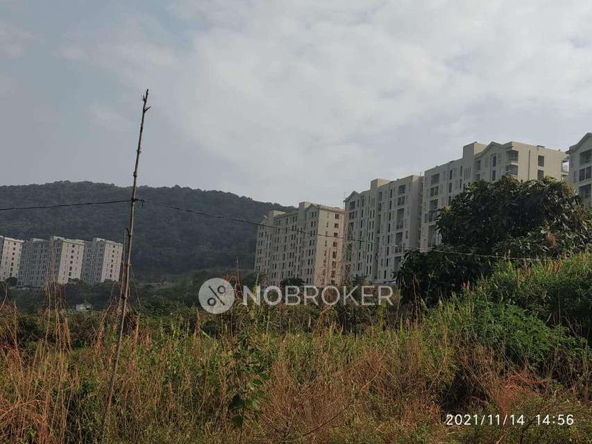 3 BHK Flat In Xrbia Hinjewadi For Sale  In Hinjewadi