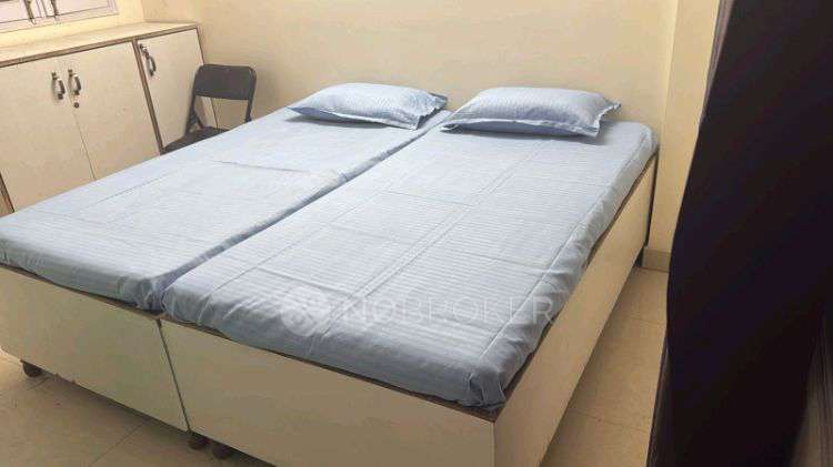 PG for Anyone in  Sector 62