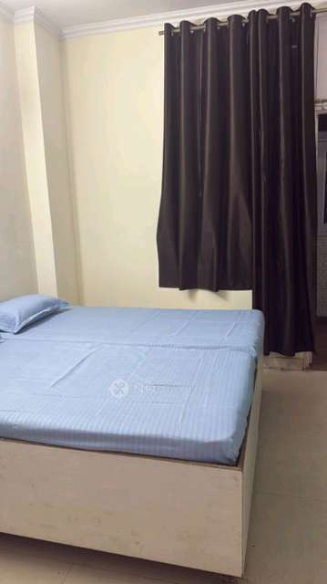 PG for Anyone in  Sector 62