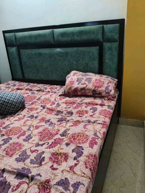 PG for Anyone in Mahipalpur