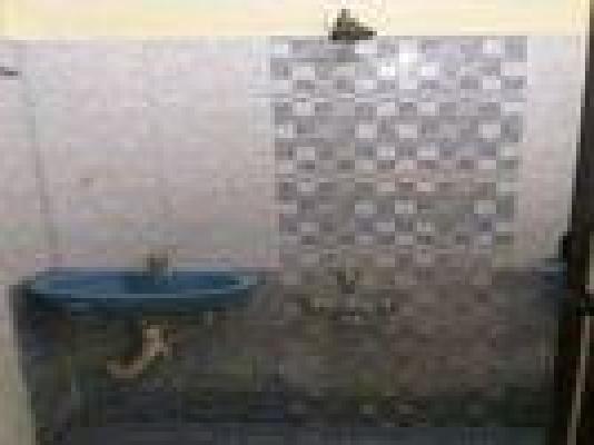 2 BHK Flat In Viswam Flats  For Sale  In 211, Sekar Nagar, West Saidapet, Saidapet, Chennai, Tamil Nadu 600015, India