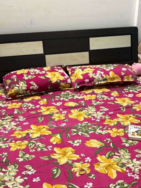 2 BHK Flat In Kolte Patil Ivy Apartments for Rent  In Pune