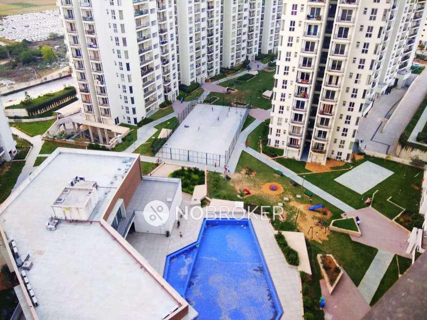 3 BHK Flat In Umang Winter Hills For Sale  In Sector-77