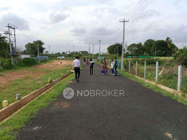 Plot For Sale  In Kns Kalparuksha Layout In Nelamangala