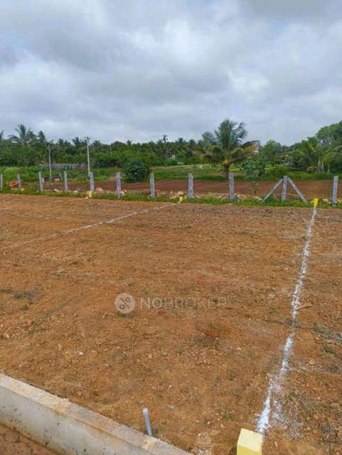 Plot For Sale  In Kns Kalparuksha Layout In Nelamangala