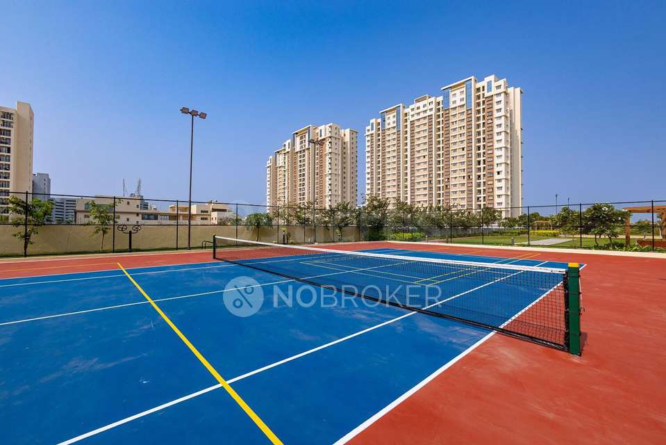 3 BHK Flat In Doshi Risington, Omr For Sale  In Doshi Risington