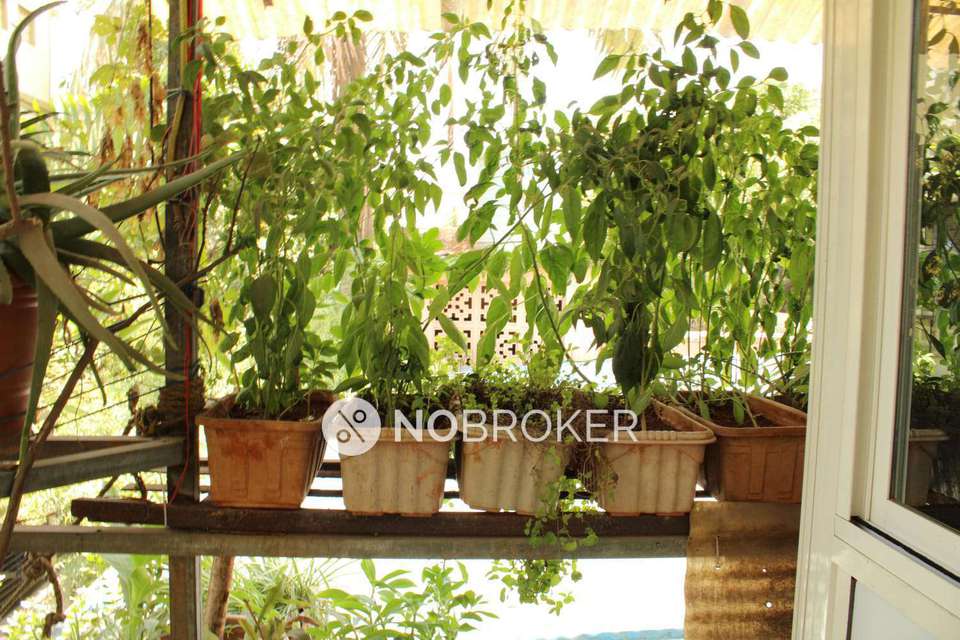 PG for Anyone in Kalher