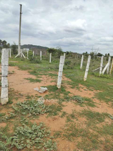 Plot For Sale  In Hayathnagr