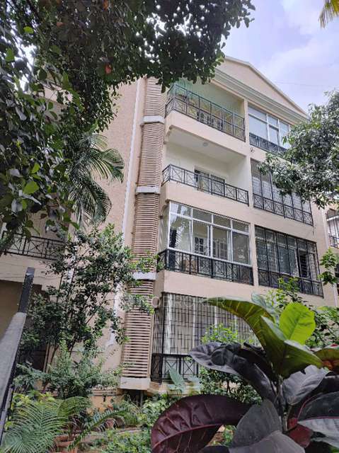 3 BHK Flat In Abdul for Rent  In 24, Coles Rd