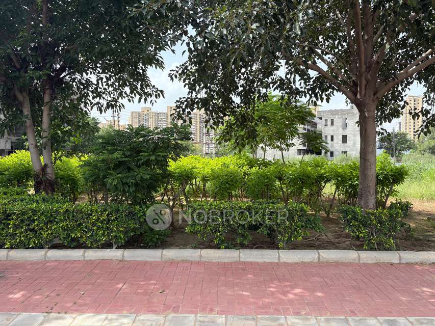 Plot For Sale  In Dlf Gardencity In Sector 91