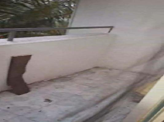 1 BHK Flat In Shivam Residency for Rent  In Chikhali