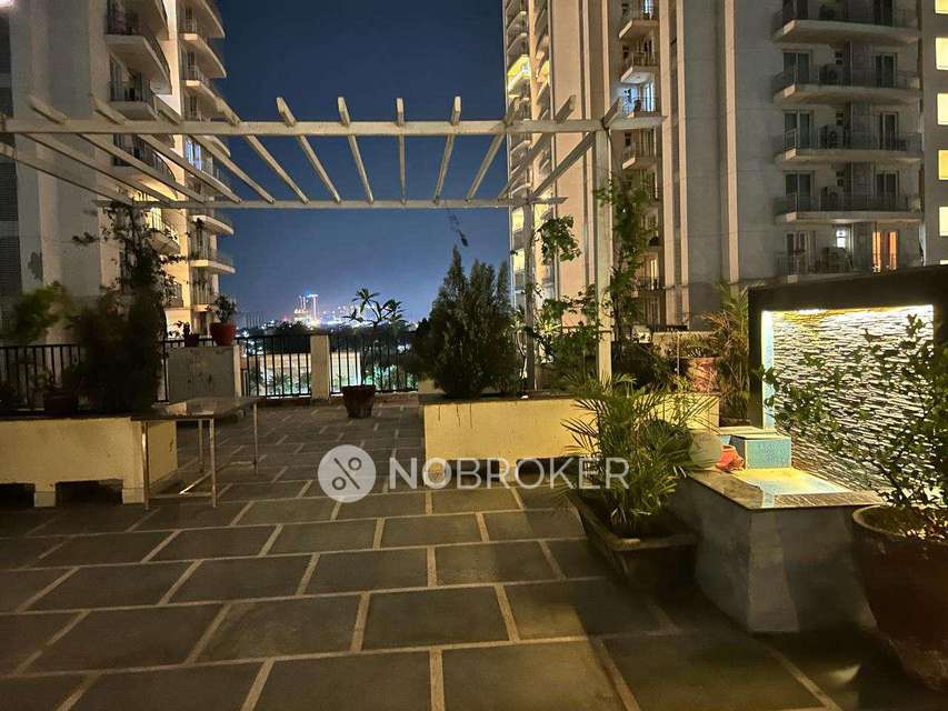 3 BHK Flat In Builder Floor For Sale  In Sector 82a