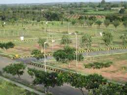 Plot For Sale  In Sushant Lok Phase 2 In Sushant Lok 2