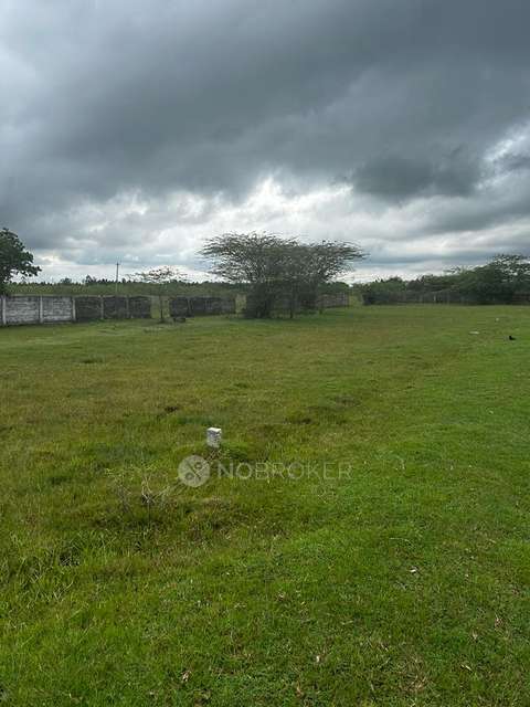 Plot For Sale  In Illuppur