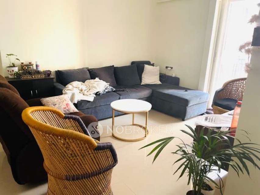 2 BHK Flat In Db Ozone for Rent  In Db Ozone