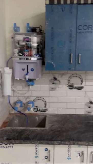 1 BHK Flat In Krishna Apartments for Rent  In Sector 49