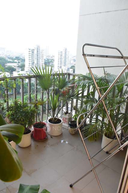 3 BHK Flat In Palm Drive  For Sale  In Sector 66