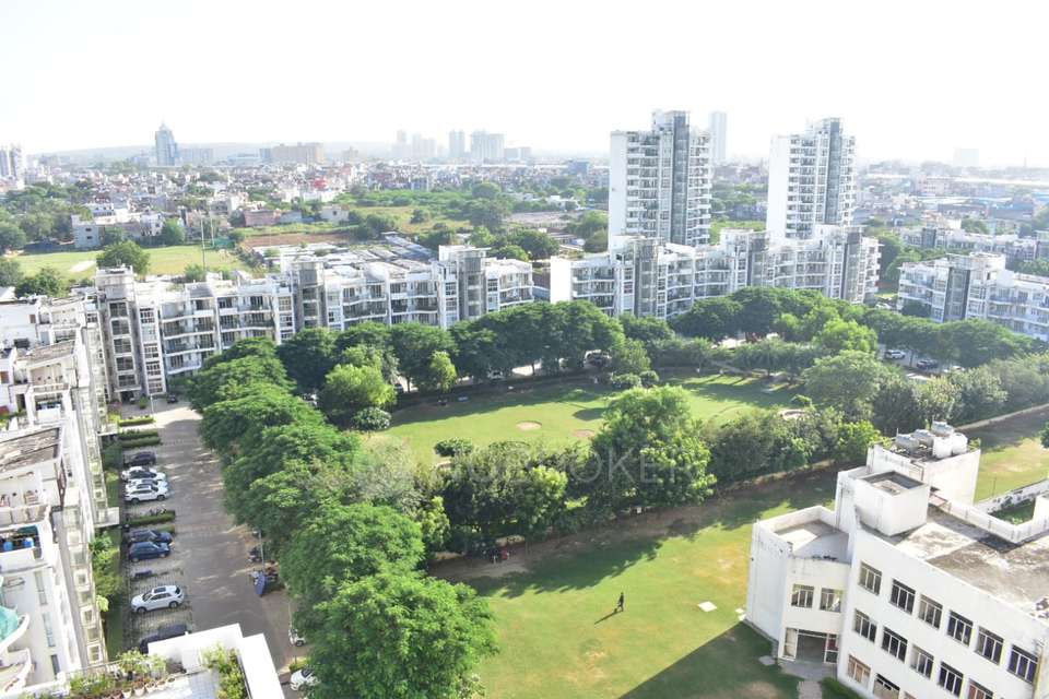 3 BHK Flat In Palm Drive  For Sale  In Sector 66