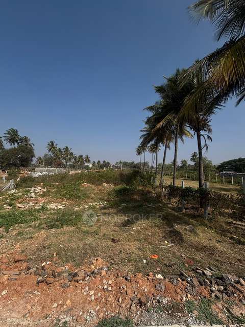 Plot For Sale  In Doddasanne