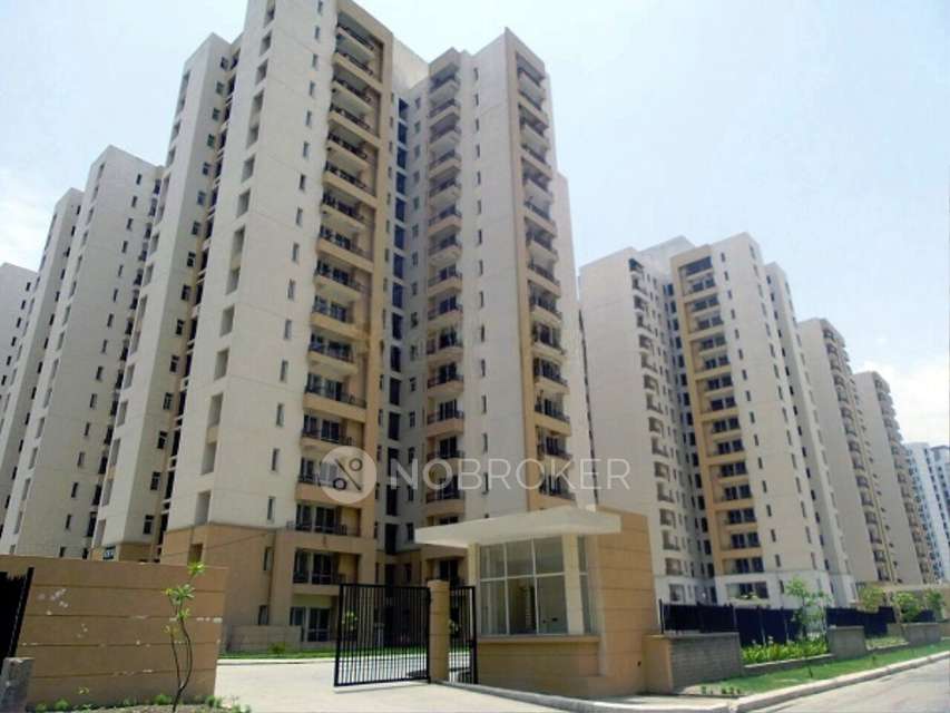2 BHK Flat In Jaypee Kosmos For Sale  In Sector 134