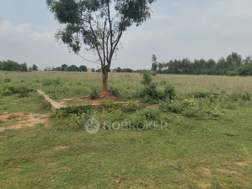 Plot For Sale  In Tiruvallur