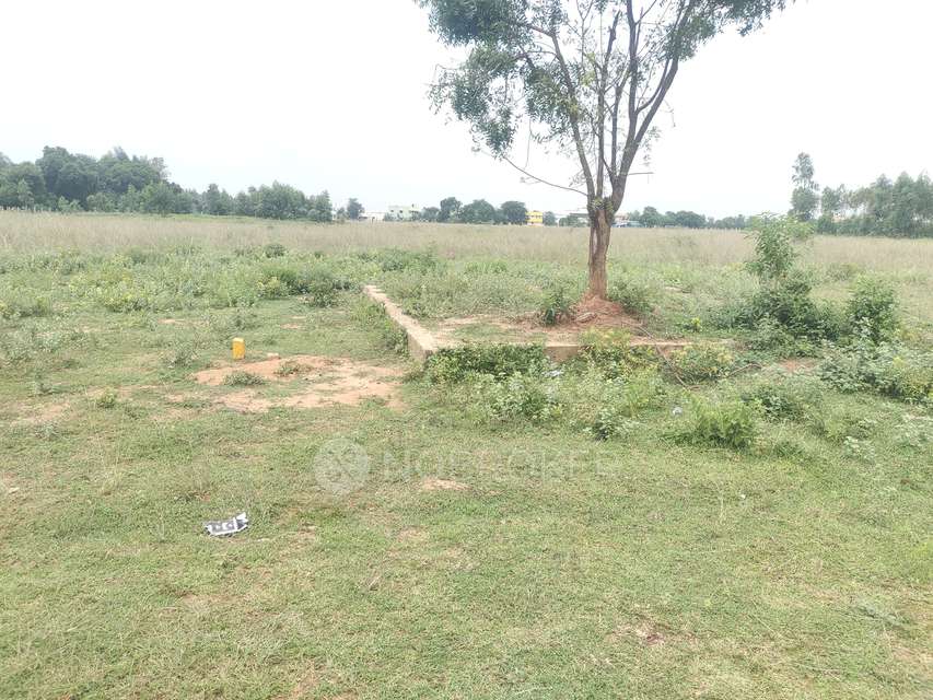Plot For Sale  In Tiruvallur