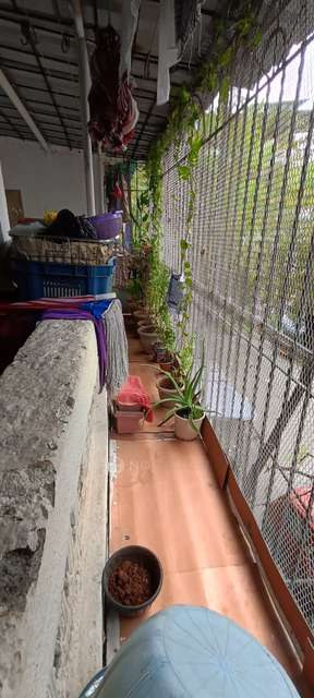 1 BHK Flat In Panchavati Society For Sale  In Panvel