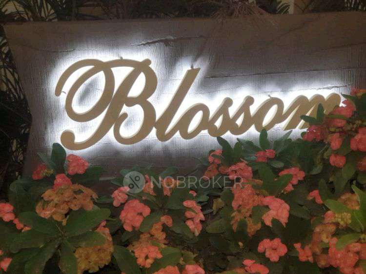 1 RK Flat In Nyati Enchante for Rent  In  Wadgaon Sheri