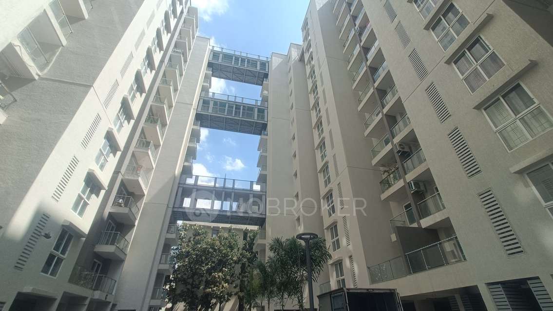 3 BHK Flat In Dnr Arista for Rent  In Bellandur