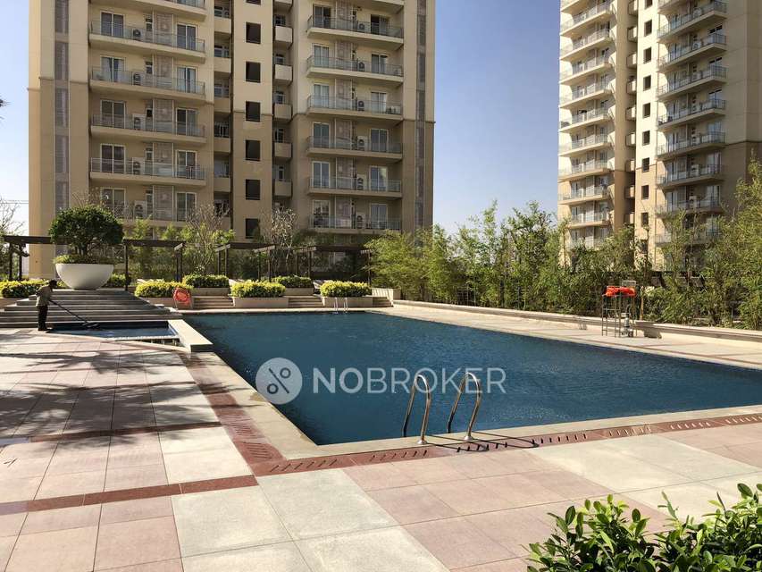 3 BHK Flat In Dlf The Primus For Sale  In Sector 82a