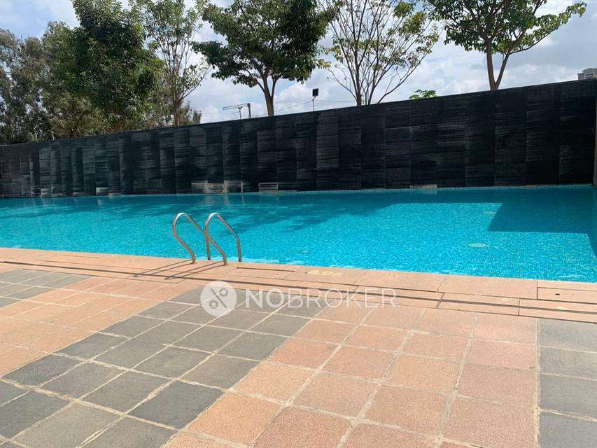 3 BHK Flat In Rmz Galleria Residences For Sale  In Yelahanka