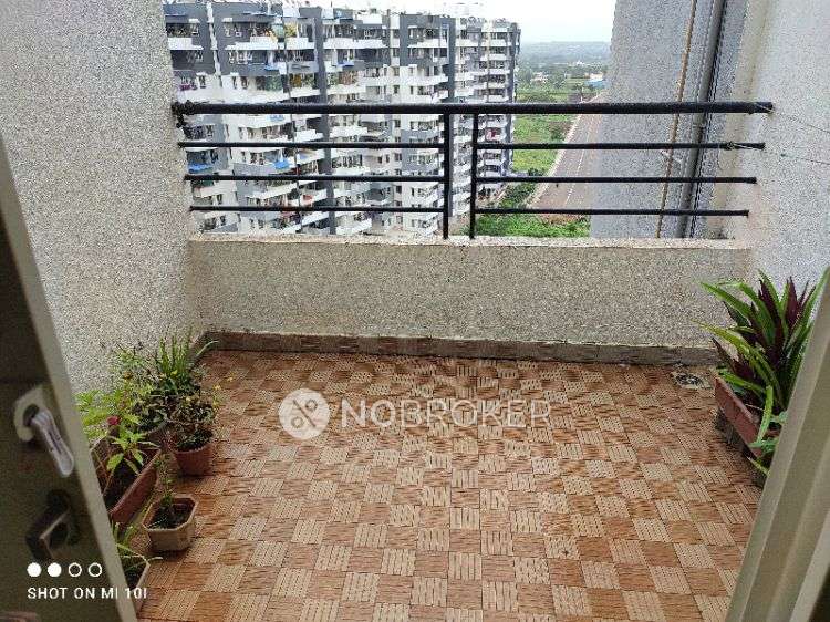 1 BHK Flat In Tanish Orchid for Rent  In Charholi Budruk