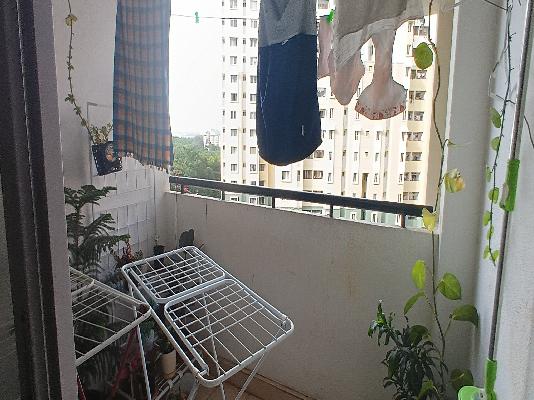 3 BHK Flat In Ozone Evergreens For Sale  In Hsr Layout