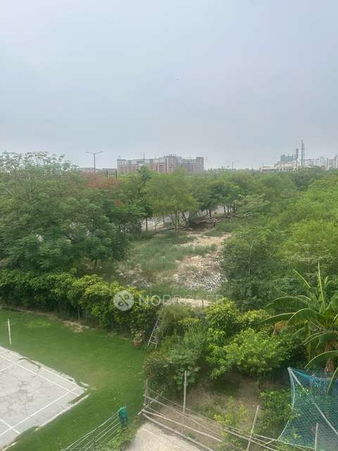 PG for Girls in Sector 44