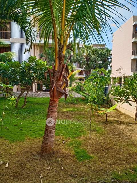 2 BHK Flat In Ipsit Navoday For Sale  In Palghar