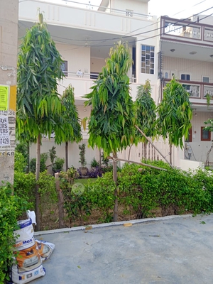 2 BHK House for Rent  In Urban Estate